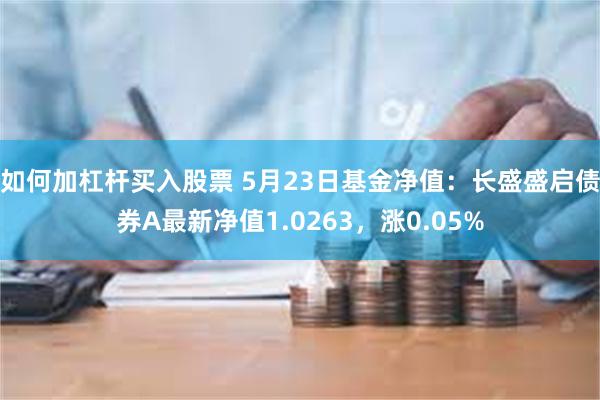 如何加杠杆买入股票 5月23日基金净值：长盛盛启债券A最新净值1.0263，涨0.05%