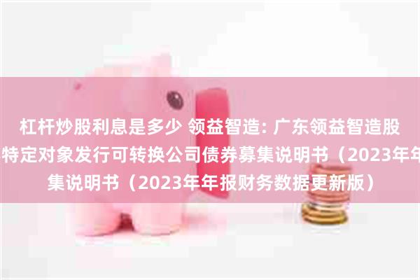 杠杆炒股利息是多少 领益智造: 广东领益智造股份有限公司关于向不特定对象发行可转换公司债券募集说明书（2023年年报财务数据更新版）