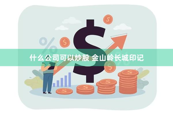 什么公司可以炒股 金山岭长城印记