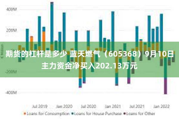 期货的杠杆是多少 蓝天燃气（605368）9月10日主力资金净买入202.13万元