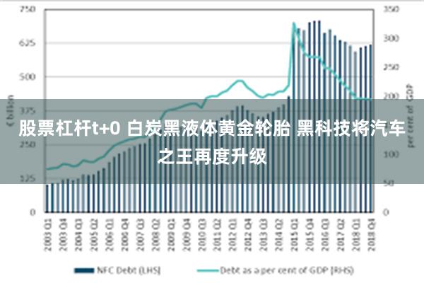 股票杠杆t+0 白炭黑液体黄金轮胎 黑科技将汽车之王再度升级